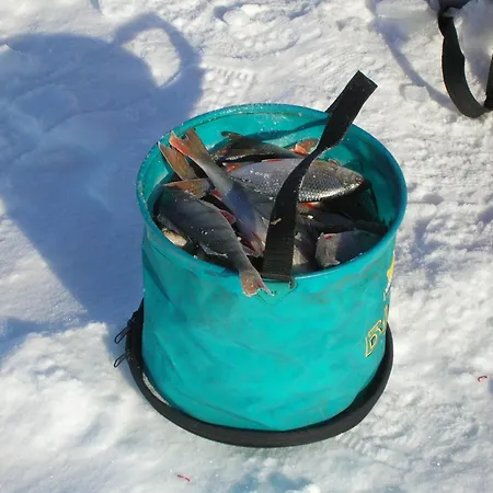 Хостел Laguun *